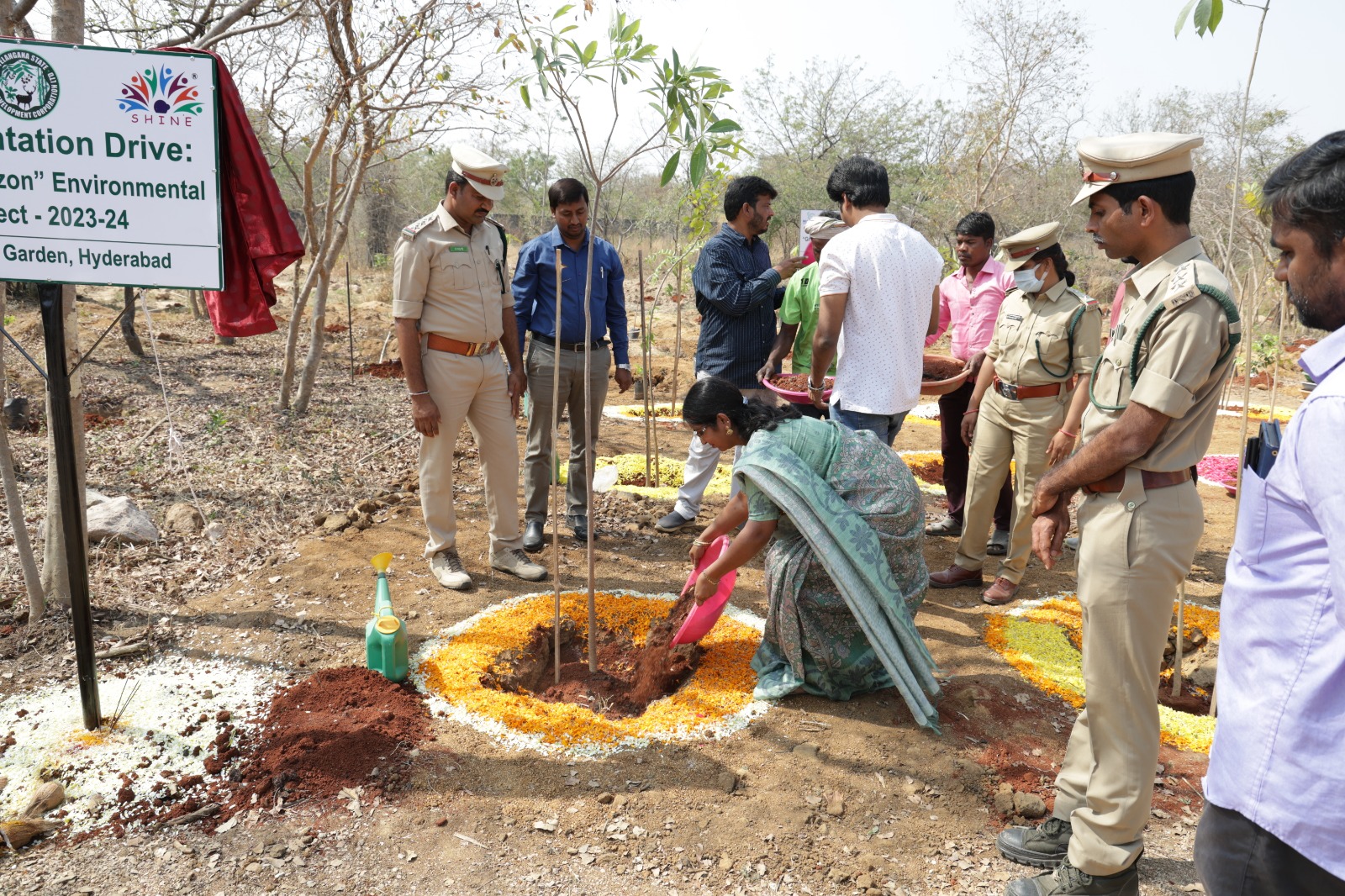 Every Tree is a Ray of Hope
